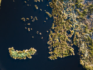 Aerial view New Zealand River Landscape