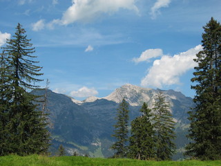 Schweizer Alpen-Impressionen in der Umgebung von Wildhaus - Obertoggenburg - Wildhaus-Alt St. Johan