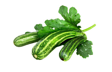 Zucchini isolated.