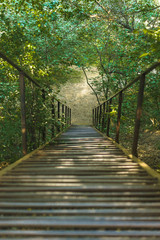 Fototapeta premium wooden bridge in the forest