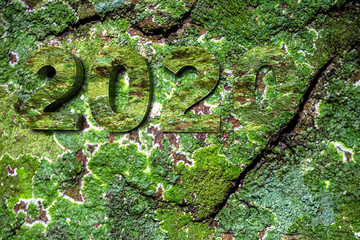 Vibrant green moss on a rock growing on protruding numbers forming the year 2020
