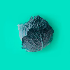 isolated fresh savoy cabbage background