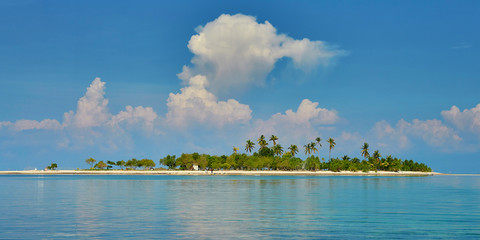 Perfect tropical island with palm trees
