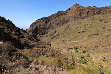 Masca Tenerife