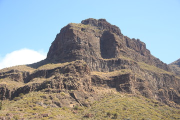 Fototapeta na wymiar Masca Tenerife