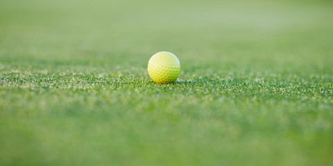 Closeup of golf ball on green