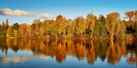 Scenic autumn landscape