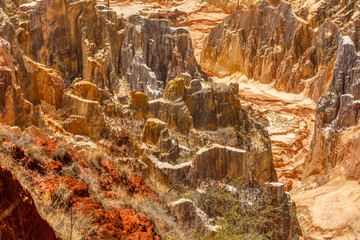 Ankarokaroka canyon Ankarafantsika, Madagascar