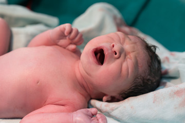 New board asian baby close up