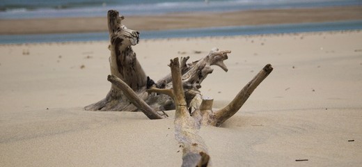Fototapeta brzeg plaża obraz