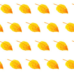 Watercolor simple pattern with a white background. Hand drawn watercolour autumn yellow and orange birch leaf repeated template
