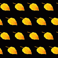 Obraz premium Watercolor simple pattern with a dark background. Hand drawn watercolour autumn yellow and orange birch leaf repeated on black