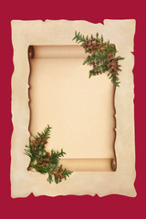 Old scroll on parchment paper with cedar cypress leaf sprigs on red background. For a traditional winter or Christmas theme.