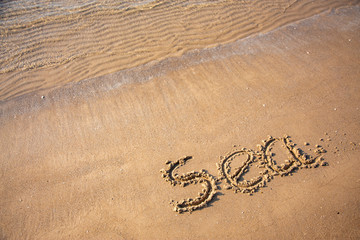 Sandy, sea shore, the waves are coming.