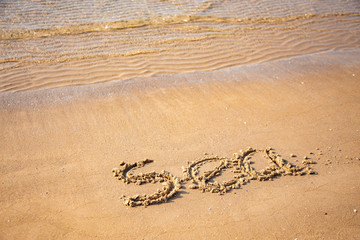 Sandy, sea shore, the waves are coming.