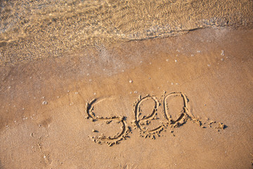 Sandy, sea shore, the waves are coming.