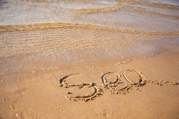 Sandy, sea shore, the waves are coming.