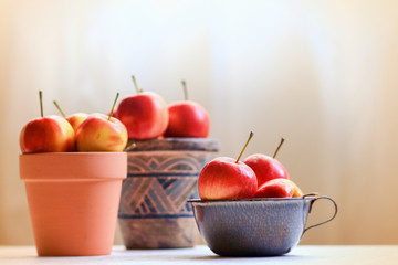 apples in a bowl