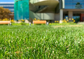 grass background with building
