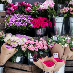 the Phlox, chrysanthemum, roses, autumn flowers in wedding bouquets for sale