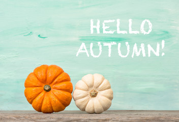 Pumpkin decoration Hello autumn Halloween Thanksgiving
