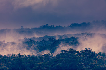 Rain mist and low cloud over gum trees in a valley in rural New South Wales in Australia.