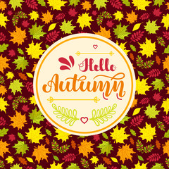 Hand written lettering Hello Autumn on seamless background with colorful autumn leaves. Vector illustration. EPS10.