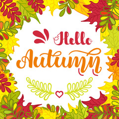Fototapeta na wymiar Square frame of colorful autumn leaves and hand written lettering Hello Autumn . Vector illustration for posters, cards, invitations and more.
