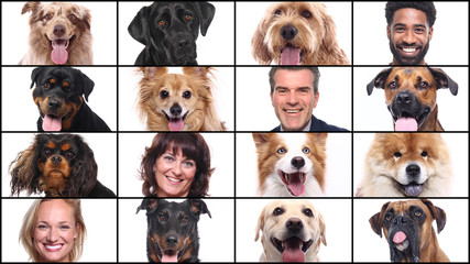 Group of people and pets in front of a white background