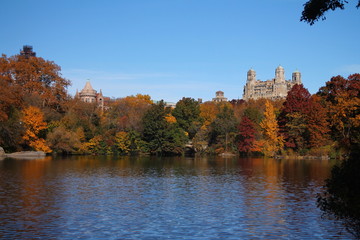 Fototapeta na wymiar New York foliage