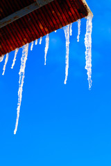 Many large and sharp icicles hang on the roof of the house.