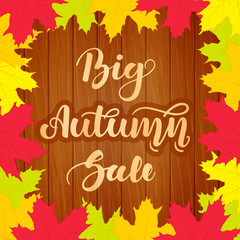 Big autumn sale. Lettering on wooden background with colorful maple leaves. Beautiful poster for sales, promotions.