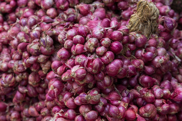 Red onions close up on shelf