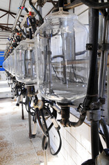 Mechanized milking equipment milking parlour