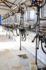 Mechanized milking equipment milking parlour