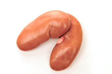 Pig kidney on a white background