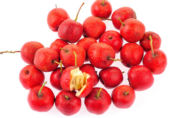 Hawthorn on a white background