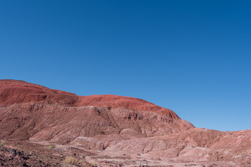 Landscape of barren pink hills at the Painted Desert in Petrified Forest National Park Arizona