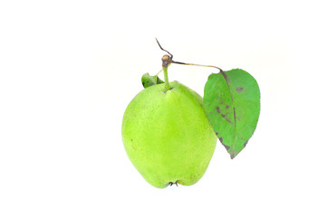 Pome is white background