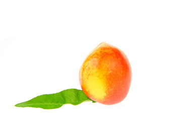 Peach on a white background