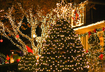 christmas tree with lights and stars
