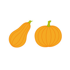 Pumpkins in hand drawn, doodle style. Vector illustration isolated on white background.