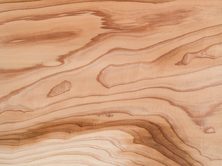 木目が美しい杉板