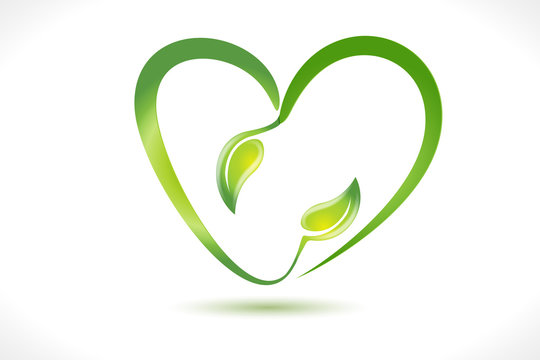 Logo leafs health nature heart shape icon vector image