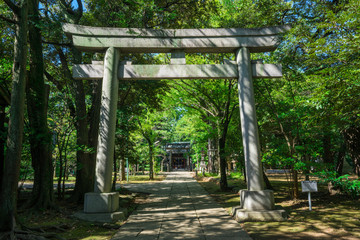 東京　氷川神社
