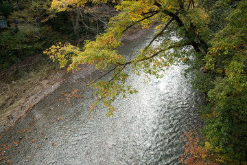 秋川渓谷