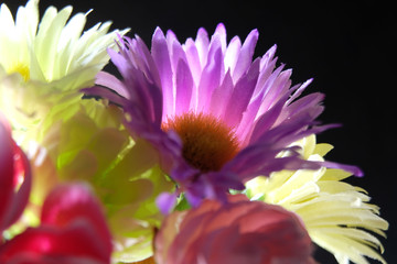 colorful flower bouquet