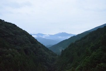 朝の山
