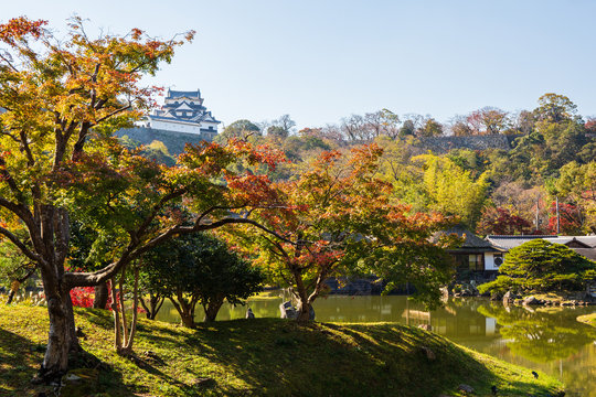 日本の秋 滋賀 彦根城玄宮園61 　Autumn in Japan, Shiga Prefecture,Hikone Castle Genkyu-en Garden #61