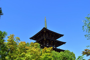 兵庫県　野添北公園の五重塔